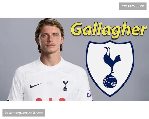 热刺仅剩替补青训可用 萨尔加拉格尔勉强出战保级战